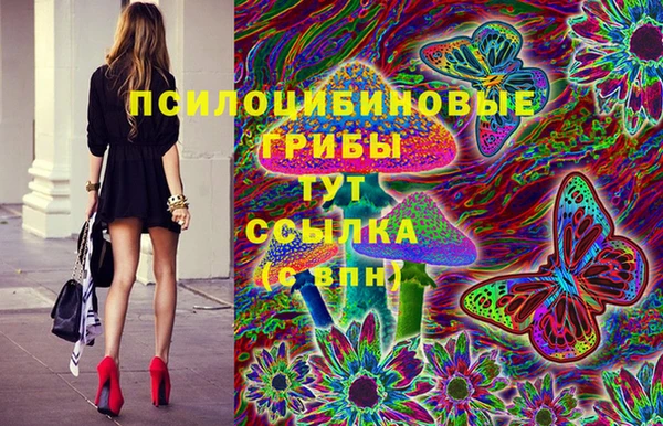 MDMA Premium VHQ Приозерск
