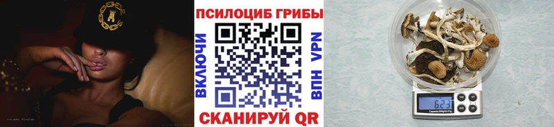 Псилоцибиновые грибы мухоморы  купить   blacksprut ССЫЛКА  Зарайск 